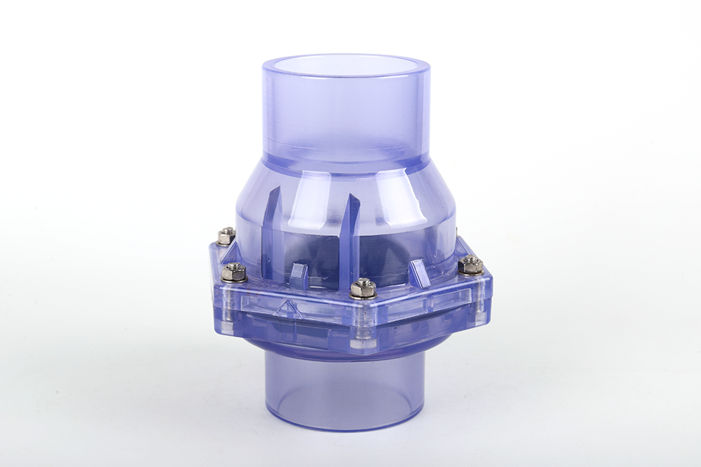 莲池透明翻板式止回阀